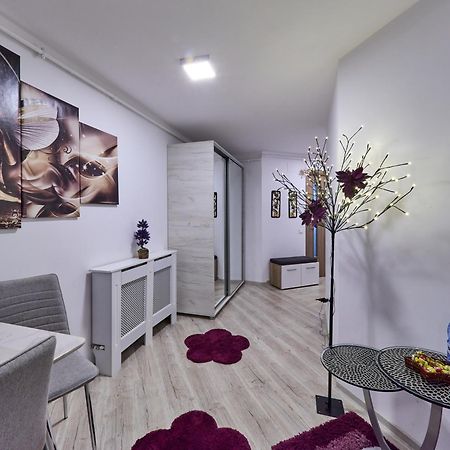 Purple Suite Sinaia Extérieur photo